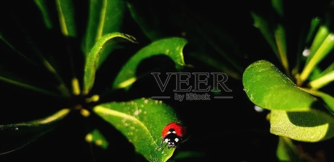 30句生活向阳励志箴言：不负生活，不负自己